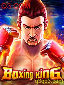 Desvendando o BoxingKing: Tudo o Que Você Precisa Saber